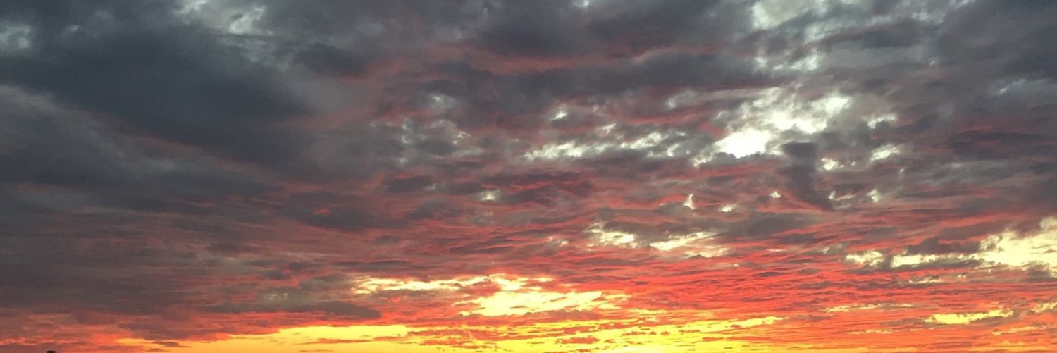 bhphotos's profile banner image