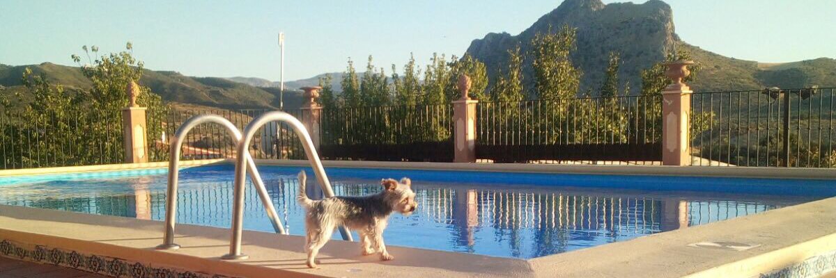 monicacobos17's profile banner image