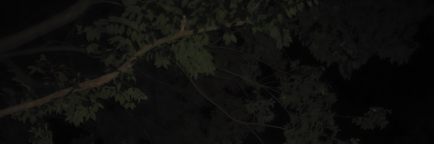 刺青師正確版 banner