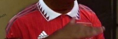 Lone_wolf banner