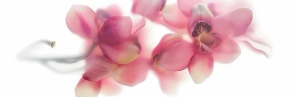 shinyykiraa Profile Banner