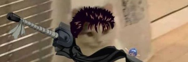 ninja_brod Profile Banner