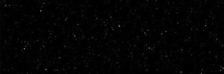 zoé's banner