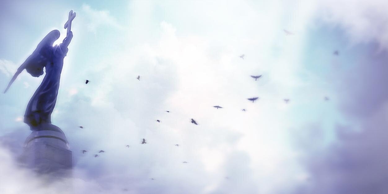 vechorka's profile banner image