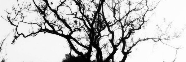 MayaGabelMD Profile Banner