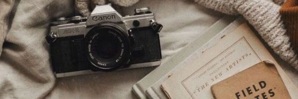 اروى🌿. banner