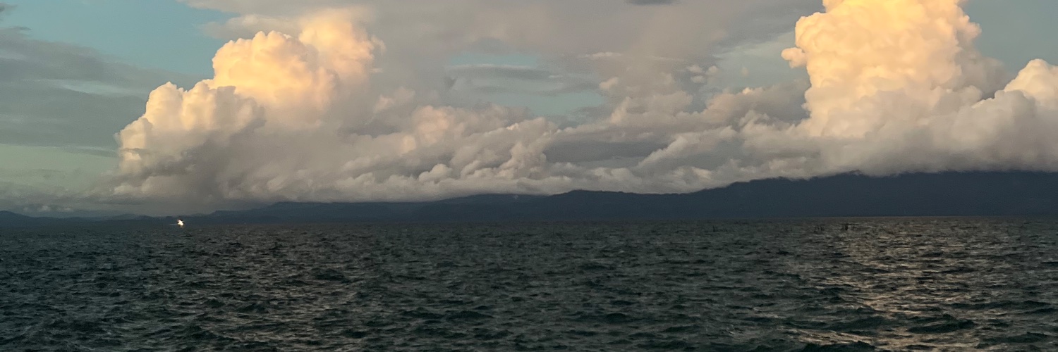 narautama's profile banner image