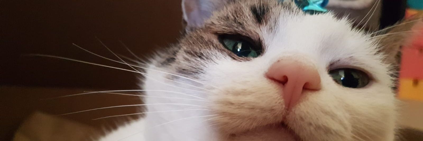 Mel776's profile banner image