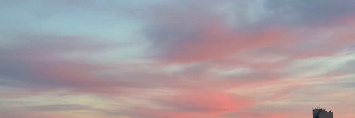 ver0mii's profile banner image