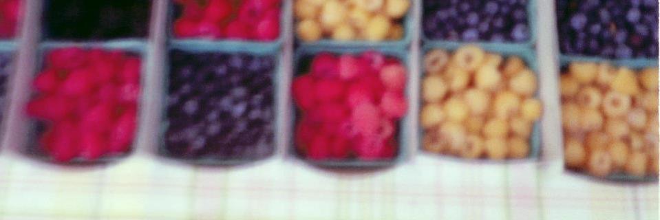 Emily Lunt banner
