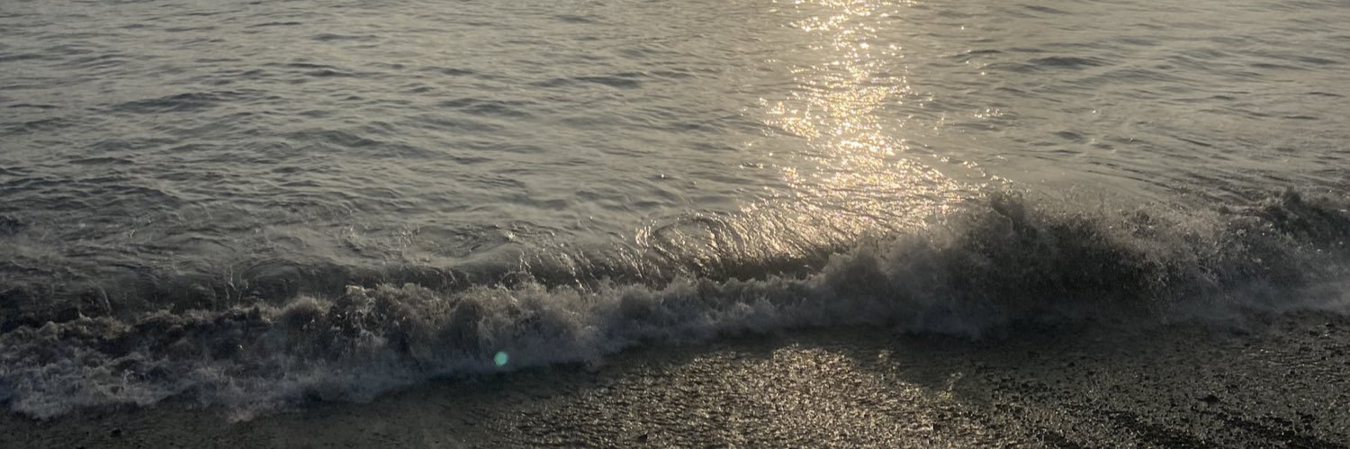 alitopasttor's profile banner image