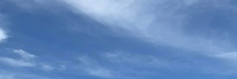 cesar_rose12's profile banner image