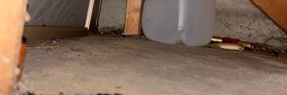 CommieBird_'s profile banner image