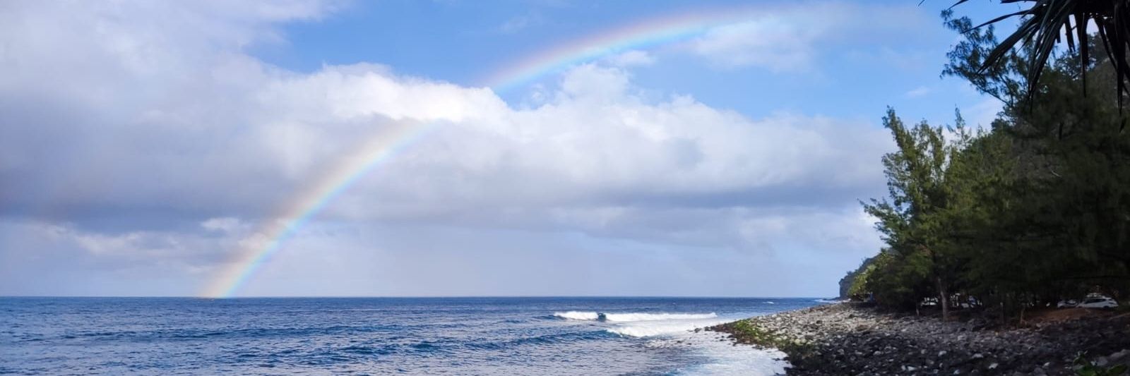 jckiki's profile banner image