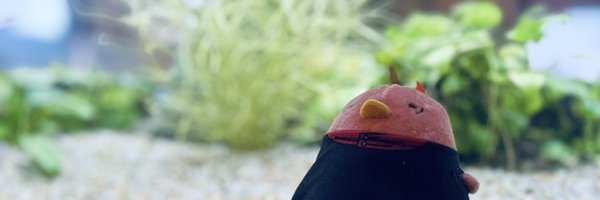 ju_git Profile Banner