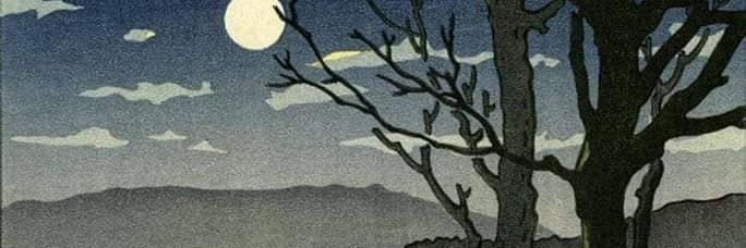万象包罗 banner