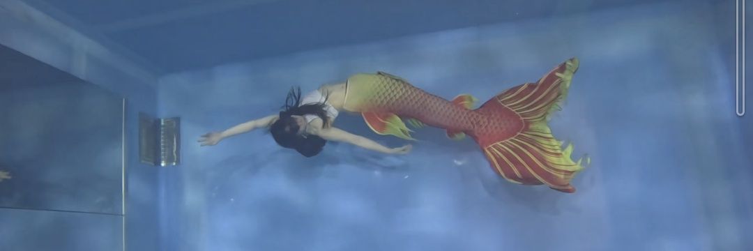 川魚のおいで banner