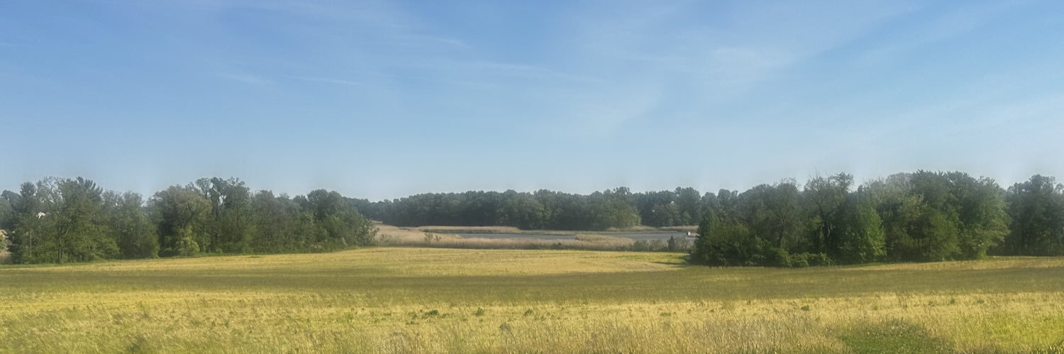 RReynoldsAuthor's profile banner image