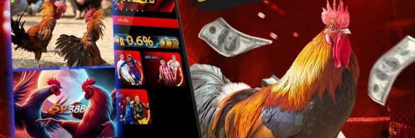 FaFa889Vip's profile banner image