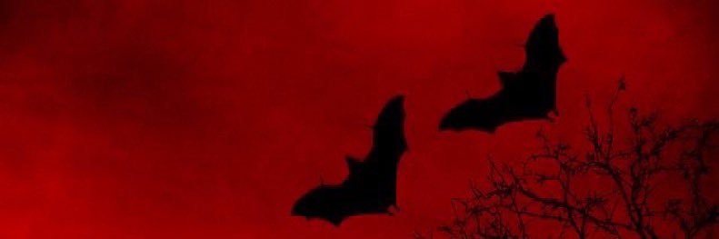 MagnumOpus_666's profile banner image