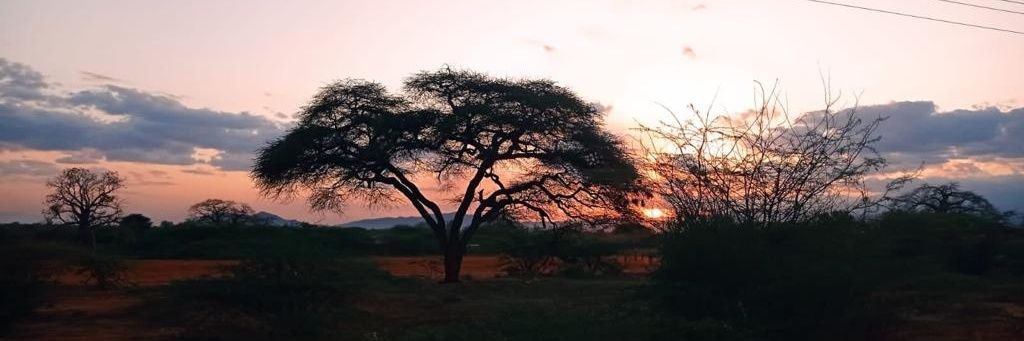 theemasai's profile banner image