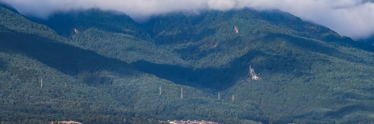 10101ZW banner