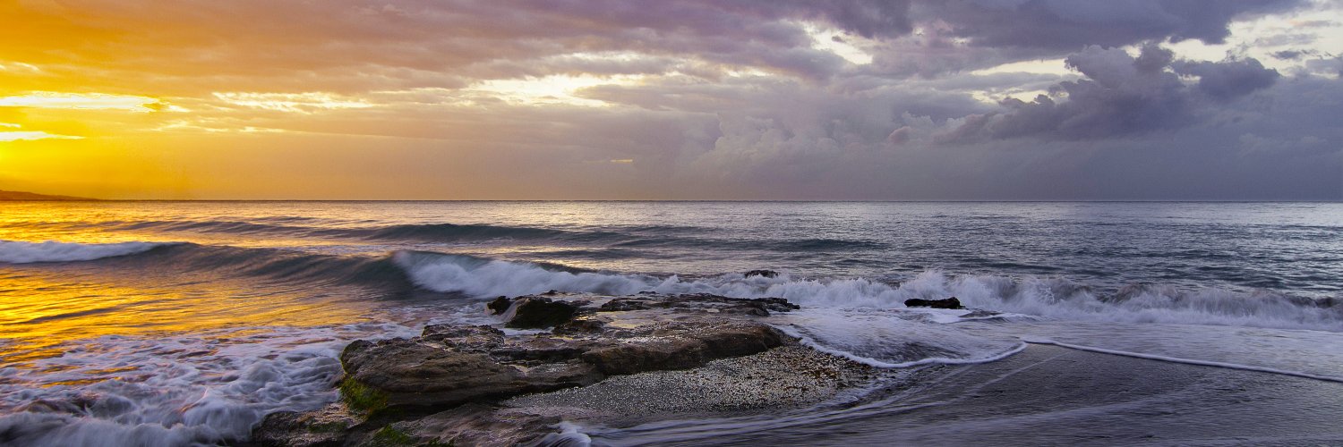 oceansleeves.bsky.social banner