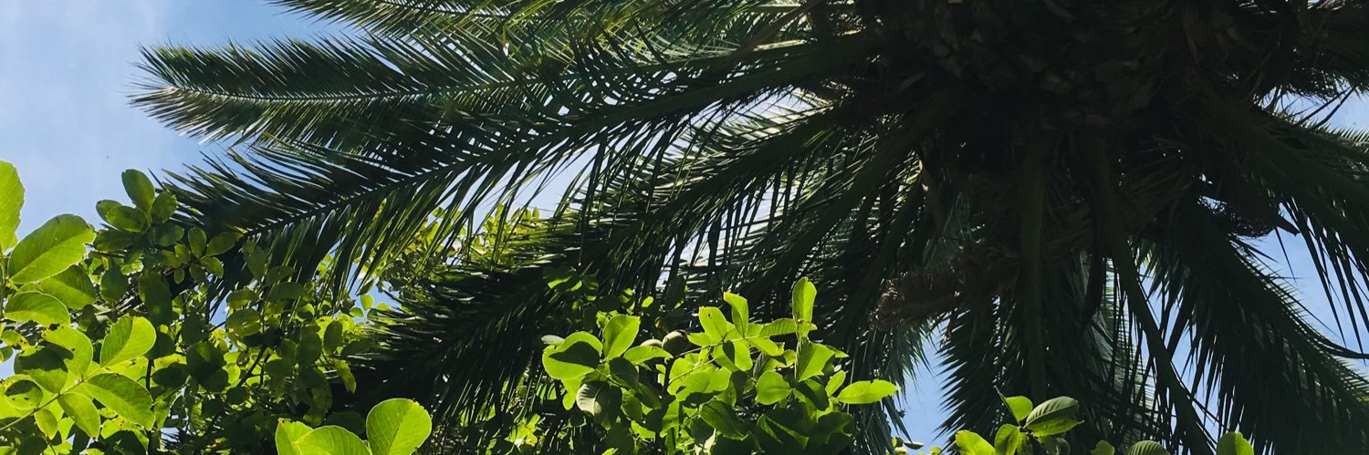 ClaudiaBeci's profile banner image