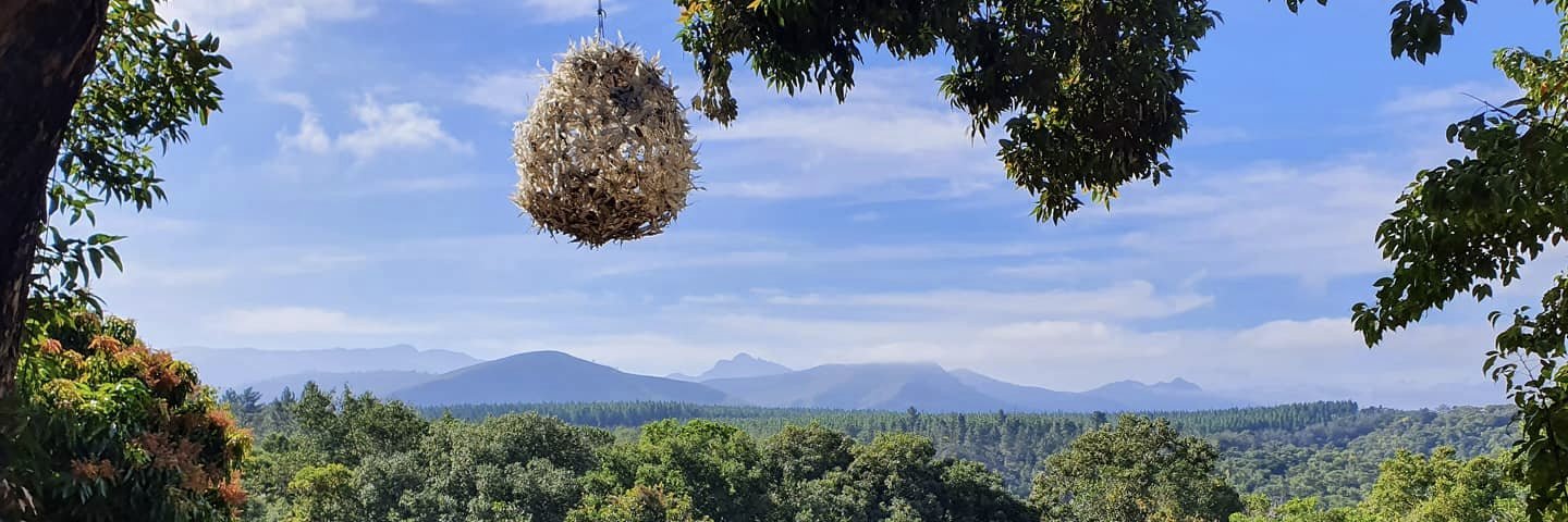 Ryan Noble | Bio.xyz | meowzit.eth 🐈‍⬛️ banner