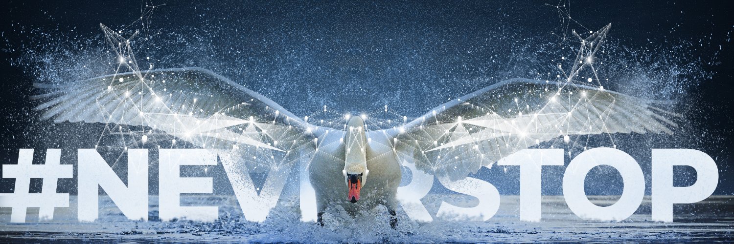 Andrea Ruscica banner