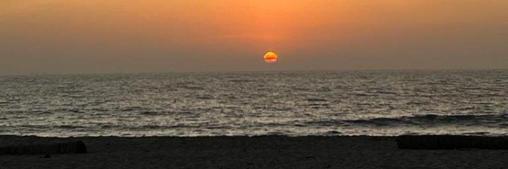 JoséLuis_FE21 banner