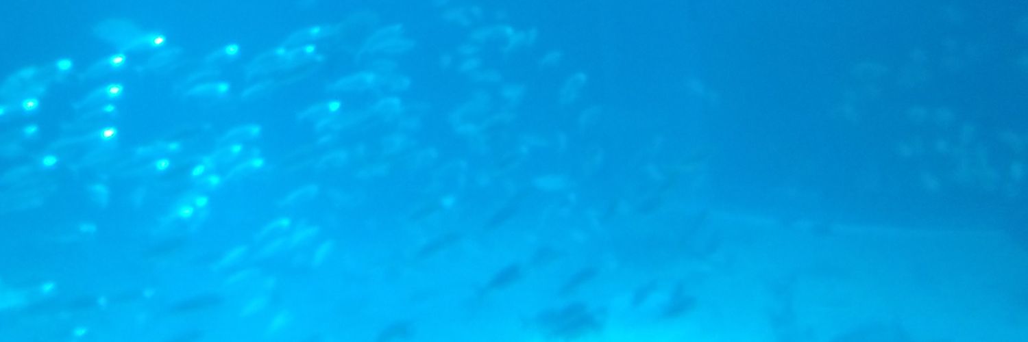 らん@DM通知不良 banner