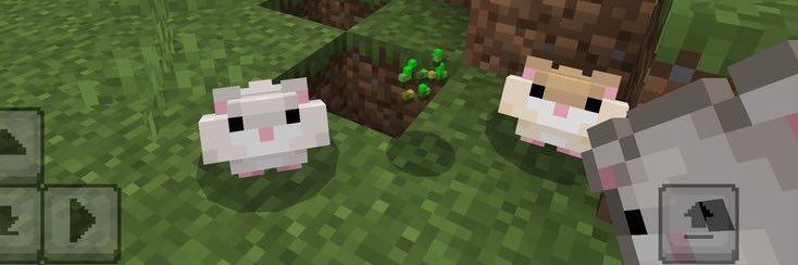 ofryee's profile banner image