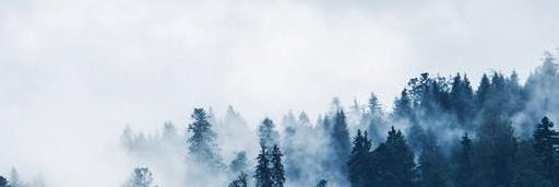 compparossrans1's profile banner image