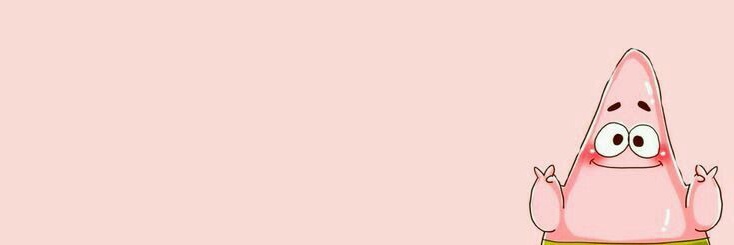 RARA 🪹 banner
