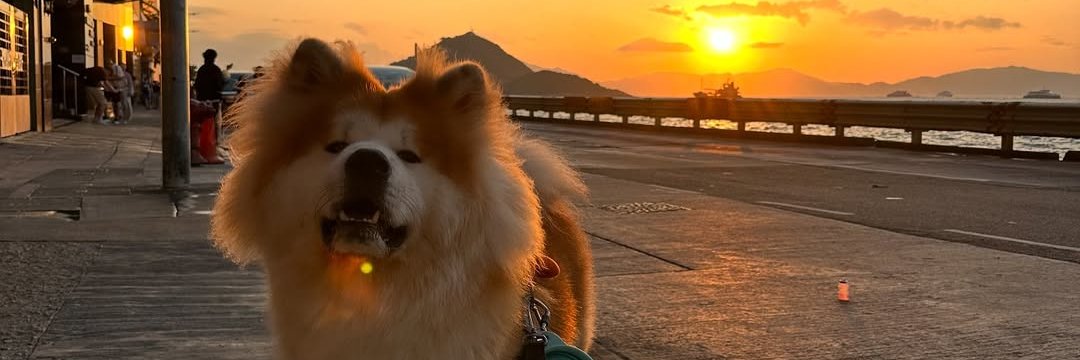 bniihas's profile banner image