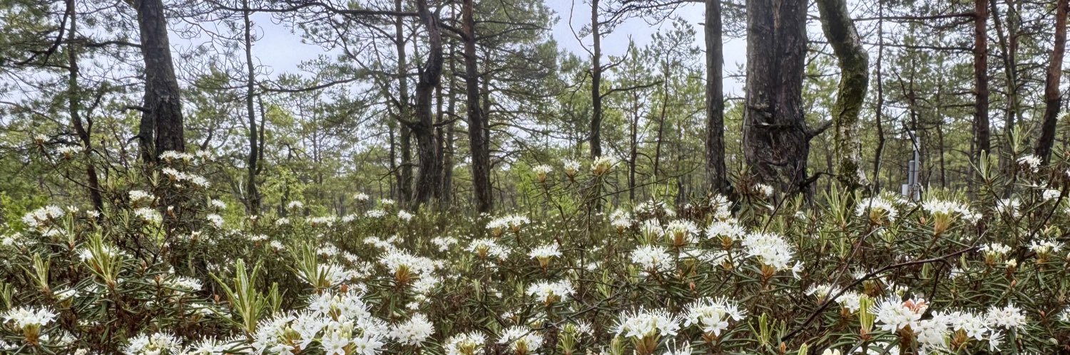 MIRECLIM project banner