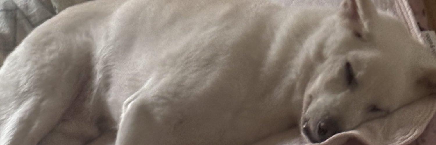 UeiCn's profile banner image