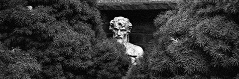 MphoSlevin117's profile banner image