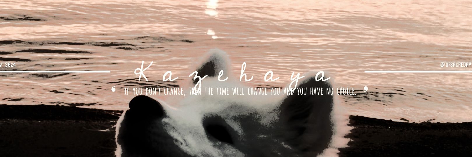 ‍ ‍‍ ‍‍ ‍‍ ‍ ‍𝑬ita，𝒌． banner