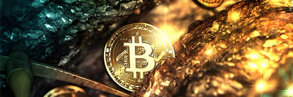 Cryptoissocool Profile Banner