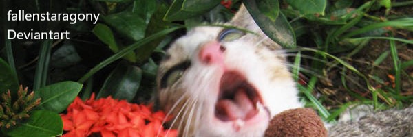 senti_ven's profile banner image