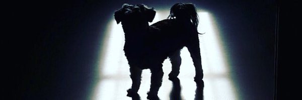 ZangerRobin Profile Banner