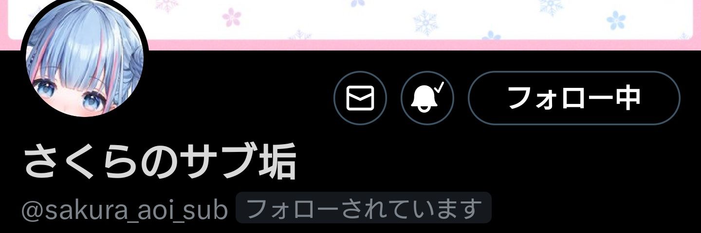 pimo_skr's profile banner image