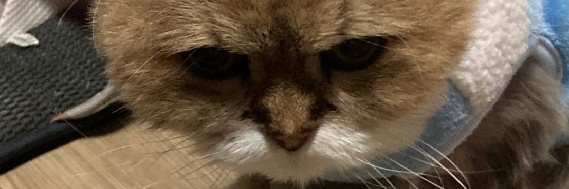 bornnnn8888's profile banner image