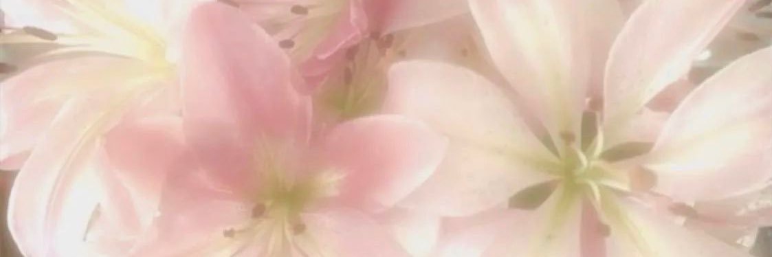 jay ☆彡| MOURNING IS ALWAYS AND FOREVER WHY ALNST banner