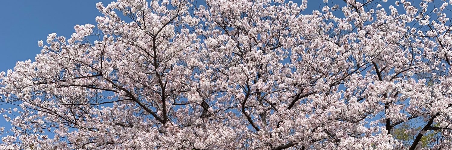 f81022's profile banner image