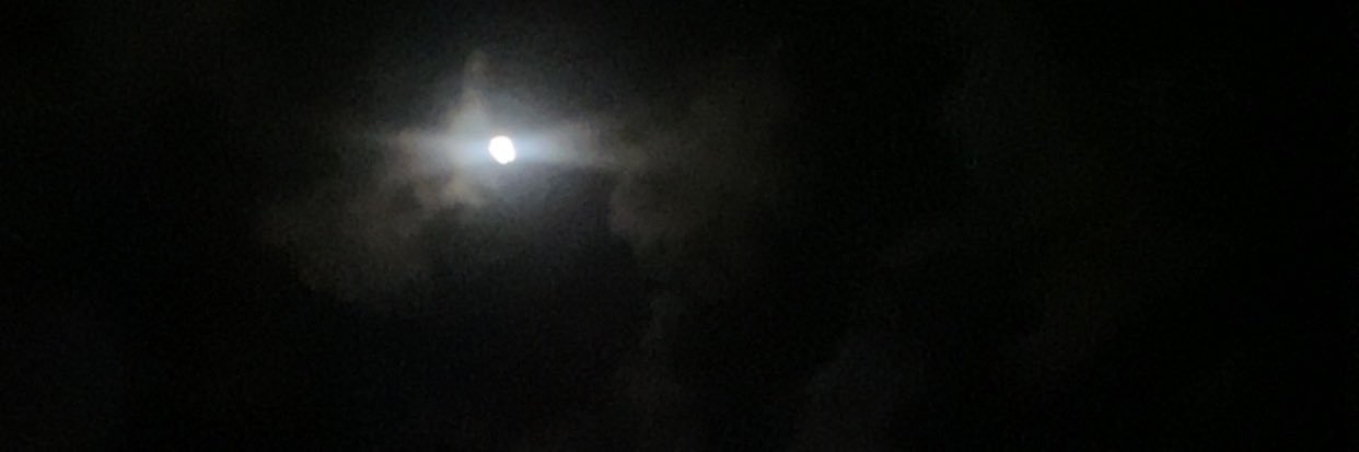 mny1429's profile banner image