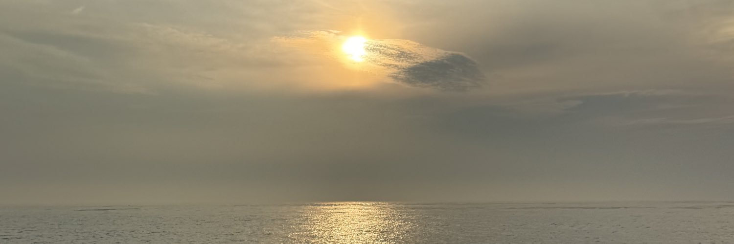Light banner