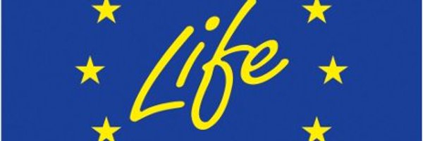 BETTEDprojectEU Profile Banner